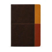 Biblia RVR1960, Biblia de Estudio Arcoiris, Sentipiel color terracota