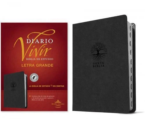 Biblia de estudio del Diario Vivir RVR60, letra grande sentipiel color gris
