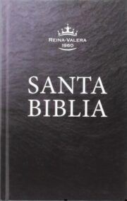 Biblia RVR60 Regalo Tapa Dura Carbon Gris